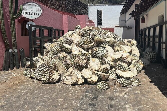 Full-Day Tour to La Fortaleza Distillery and Cantaritos - Key points to know before booking