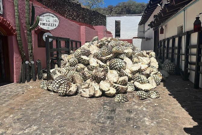 Full-Day Tour to La Fortaleza Distillery and Cantaritos - Choosing between Don Cayo and the Great Grandfather visit