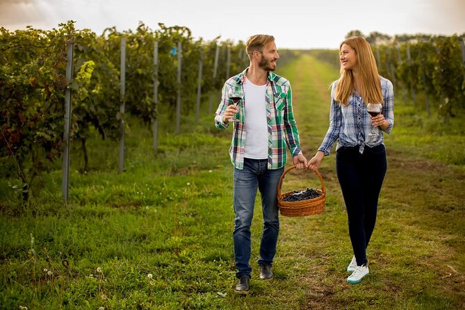Full-Day Wine, Whiskey & Beer Tour w/ Lunch Pairing - A six-hour route through Niagara’s drinks country