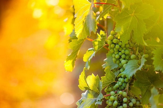 Full-Day Wine, Whiskey & Beer Tour w/ Lunch Pairing - Pickup makes the route much easier