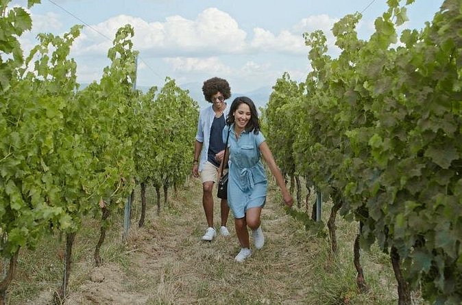 Full-Day Wine, Whiskey & Beer Tour w/ Lunch Pairing - Is $246.69 a fair price?