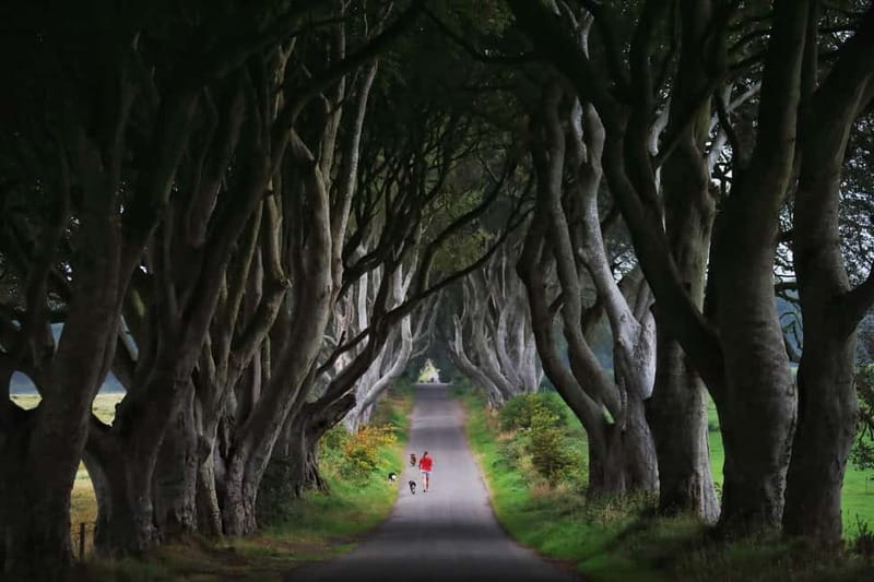 Giants causeway Irish castles & whiskey, Game of thrones - Lunch is flexible, but not included