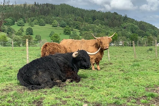 Glencoe, Central Highlands, Rob Roy, Whisky, Private Tour - Why this private Highland route works