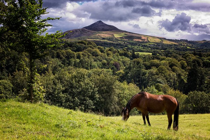 Glendalough and Powerscourt Distillery Ireland Whiskey Tour - Small details to settle before booking