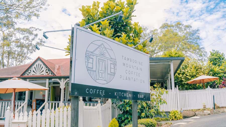 Gold Coast: Wine, Distillery & Rainforest Day Tour - Coffee, farming, and a 45-minute plantation stop