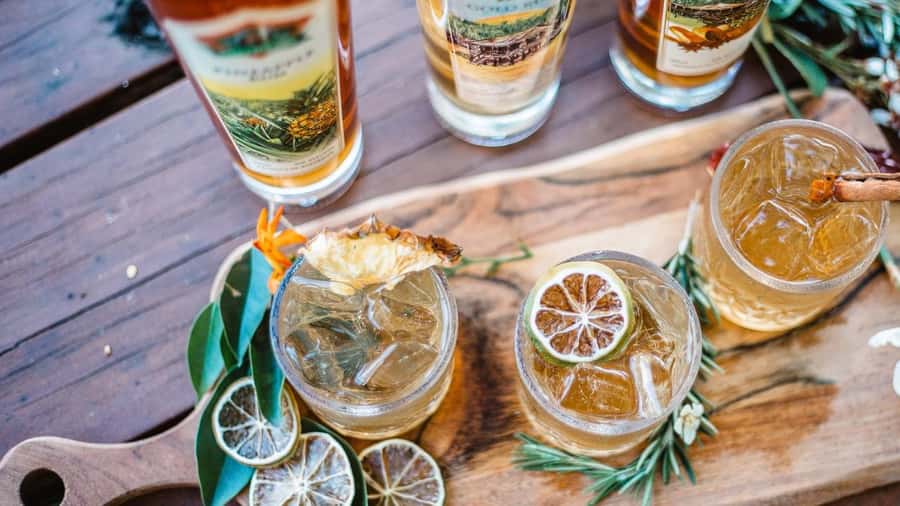 Gold Coast: Wine, Distillery & Rainforest Day Tour - The day’s main strengths and compromises