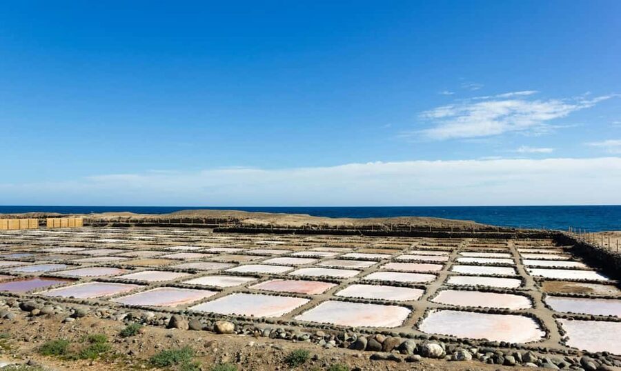 Gran Canaria: Food Tour with Distillery Visit & Lunch - Arucas, flowers and an old rum cellar