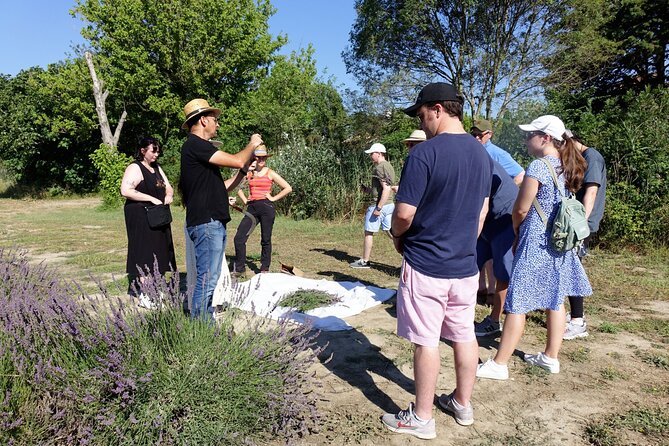 Guided tour Distillery of Lavender between Nîmes & Arles - Planning your visit from Nîmes or Arles