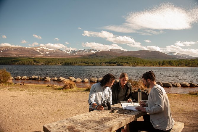 Highland Lochs, Glens & Whisky Day Tour Including Admission - The value of a $80.08 Highland day