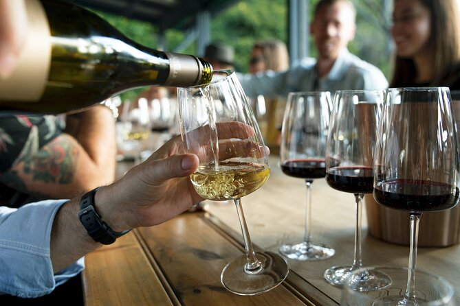Hunter Valley Wine Tour ex Hunter Valley - Lunch, Cheese, Chocolate, Distillery - The guides make or break the pace