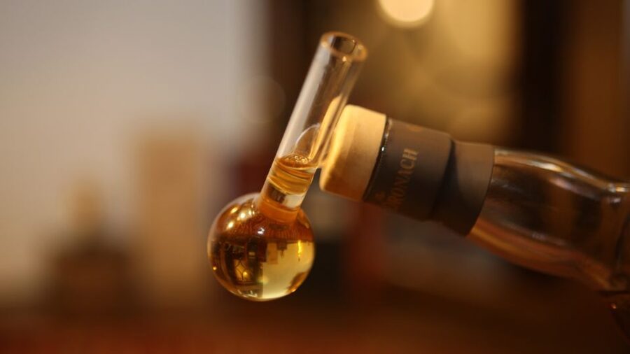 Idstein: Scottish Whiskey Tasting Experience with Appetizers - Who will enjoy this Idstein whisky tasting?