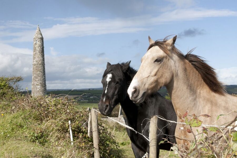 Ireland: Blarney Castle, Kilkenny & Irish Whiskey 3-Day Tour - Day three: Kilkenny to Glendalough