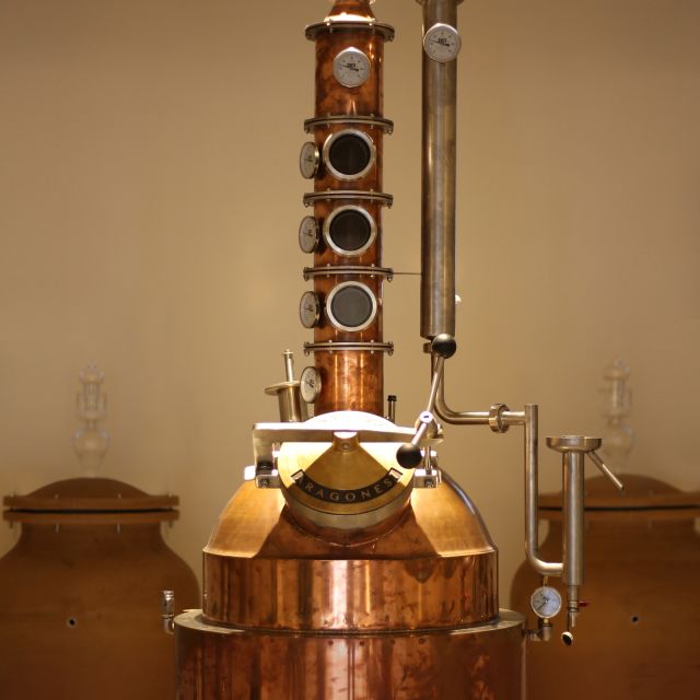 Ischia: Private Distillery Tour and tasting with the Artisan - The tasting: several drinks, not just a single sip