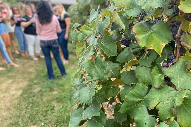 Kansas City Brewery, Winery, and Distillery Tour - Practical details that affect your day