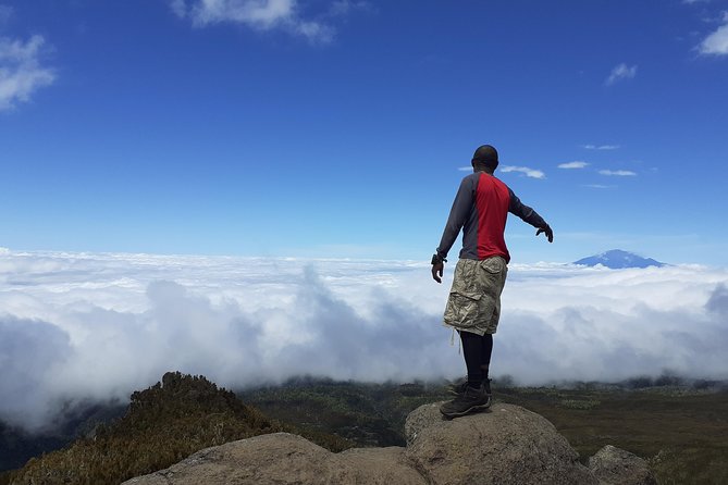 KILIMANJARO MACHAME ROUTE, (Climb 7days) "Whiskey" route - Day 7: Mweka Gate and the return to town