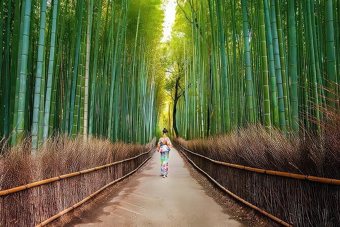 Kyoto 1 Day Suntory Yamazaki Distillery Tour and Asahi Art Museum - Which kind of visitor will enjoy it most