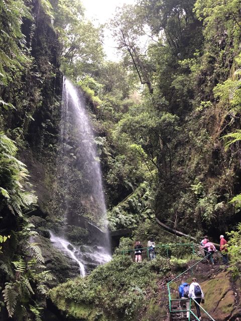 La Palma: North Island Bus Tour with Ron Aldea Distillery - Key points to know before booking