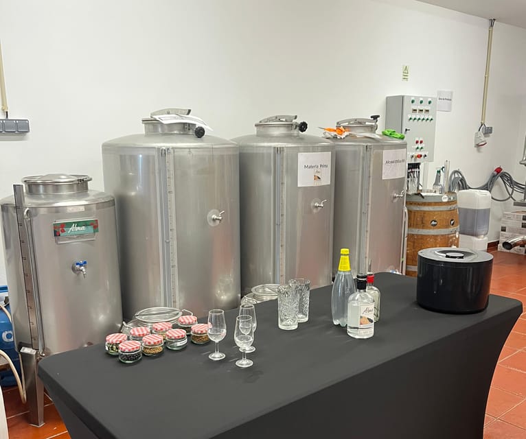 Lagos: Guided Gin Distillery Tour With Tasting at Alma Luz - What happens during the one-hour tour