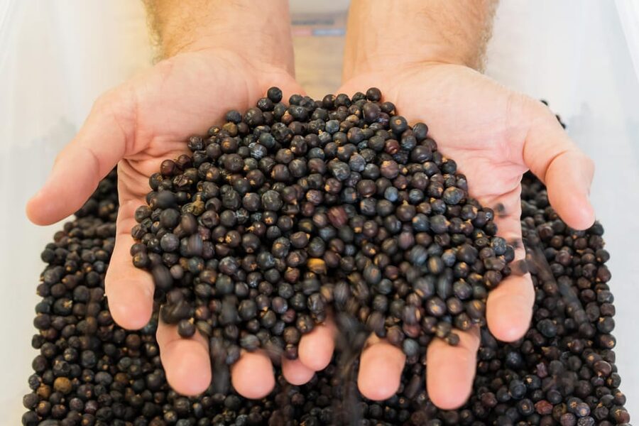 Lagos: Guided Gin Distillery Tour With Tasting at Alma Luz - Useful details before you book