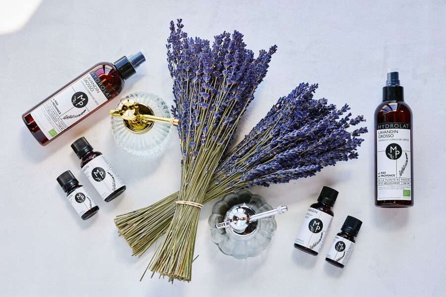 Lavender Field & Distillery Tour between Nimes & Arles - A small farm visit with real working parts