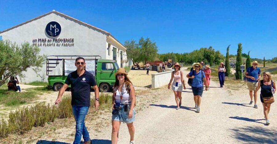 Lavender Field & Distillery Tour between Nimes & Arles - Watching the still turn flowers into oil