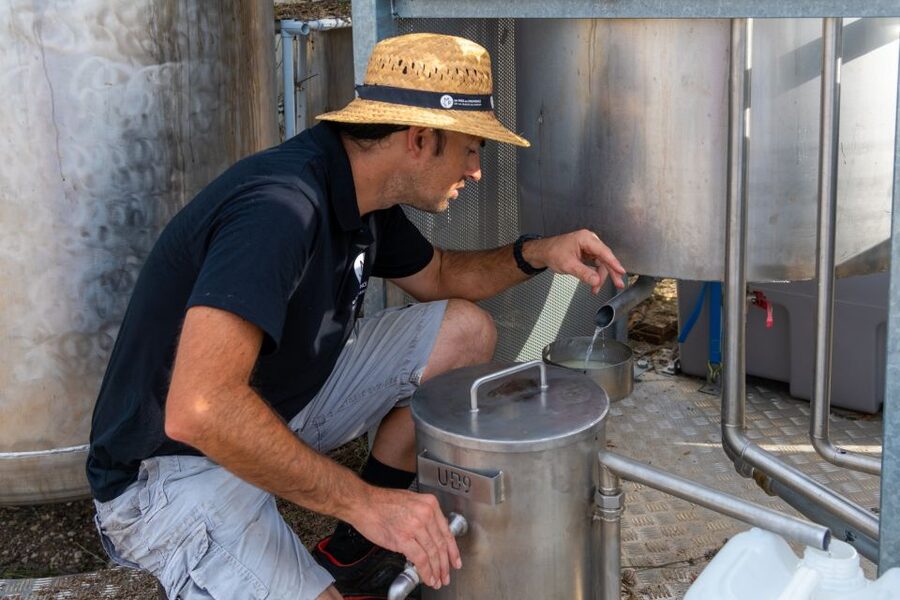 Lavender Field & Distillery Tour between Nimes & Arles - The perfume bar makes the lesson personal