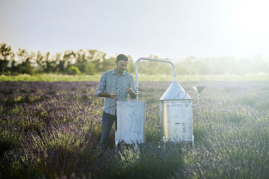 Lavender Field & Distillery Tour between Nimes & Arles - Who will get the most from this visit?
