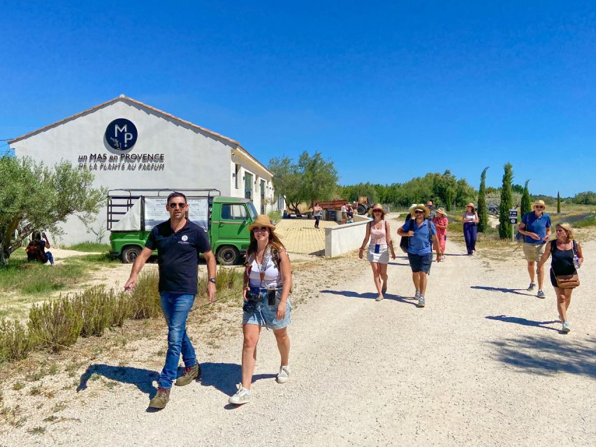 Lavender Field & Distillery Tour between Nimes & Arles - Walking through lavender, rosemary, and verbena