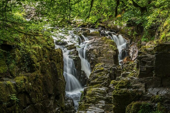 Loch Ness Cruise, Scenic Walk, Whisky & Glencoe Tour - Edinburgh - The Hermitage gives you a real woodland walk