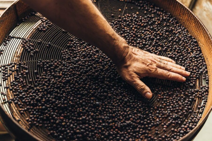 Mahón: Gin Distillery Tour with Tasting & Appetizers - Key points at a glance