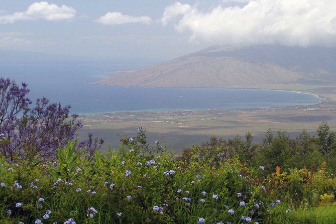 Maui Farm Distillery and local craft experience Full-Day Tour - Starting with goats, cheese, and a surfboard jungle gym