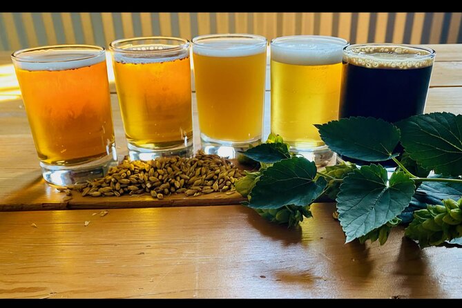NON BUS MOVIE STARS Traverse City Brewery And Distillery Tour - Silver Spruce Brewing Company and its lager-heavy lineup