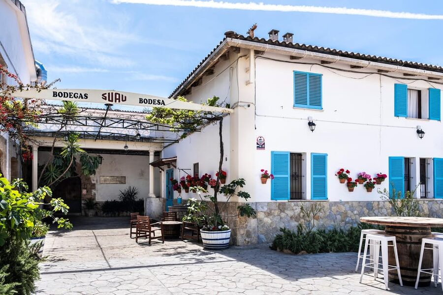 Palma: Distillery Tour with 3 Spirits and Tapas Tasting - Why the old cellar is the main event