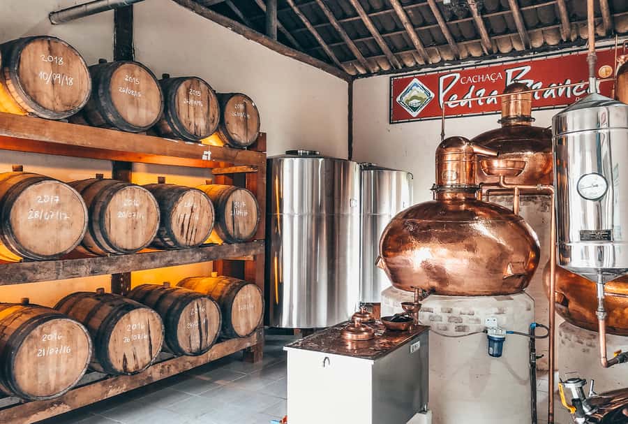 Paraty: Jungle Waterfalls and Cachaça Distillery Jeep Tour - How cachaça turns sugarcane into a local drink