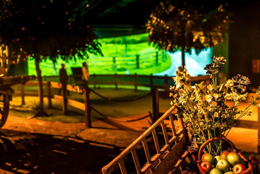 Pont-l'Évêque: DISTILLERIE PERE MAGLOIRE Entry with Tastings - The best way to get more from the visit