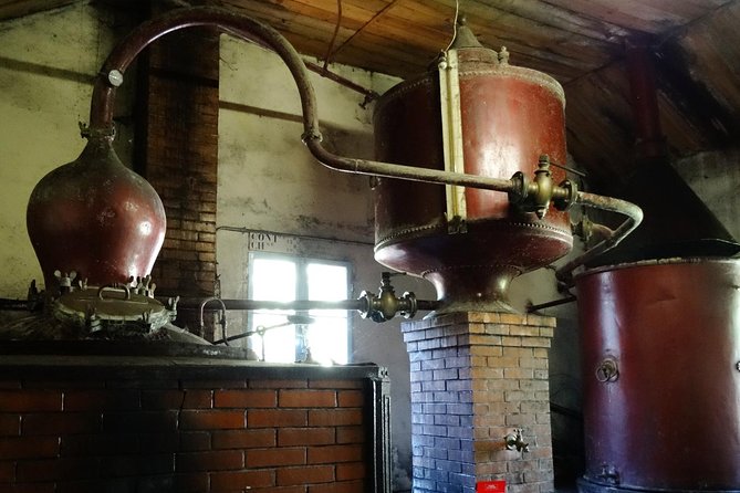 Private tour from Cognac - Cognac Distillery & Bordeaux Winery with a workshop - Lunch between the wine and Cognac visits