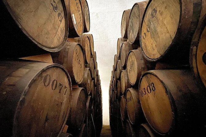 Private Tour one day in Guachimontones and La Fortaleza Distillery - Guide quality and how to request Jesús
