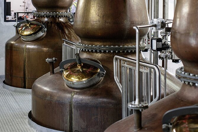 Private VIP Whiskey Tour from Dublin with Slane Castle Distillery - What the guide adds