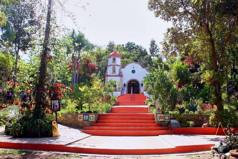 Puerto Vallarta: Botanical Gardens, Distillery & Coffee Tour - Why this six-hour outing works