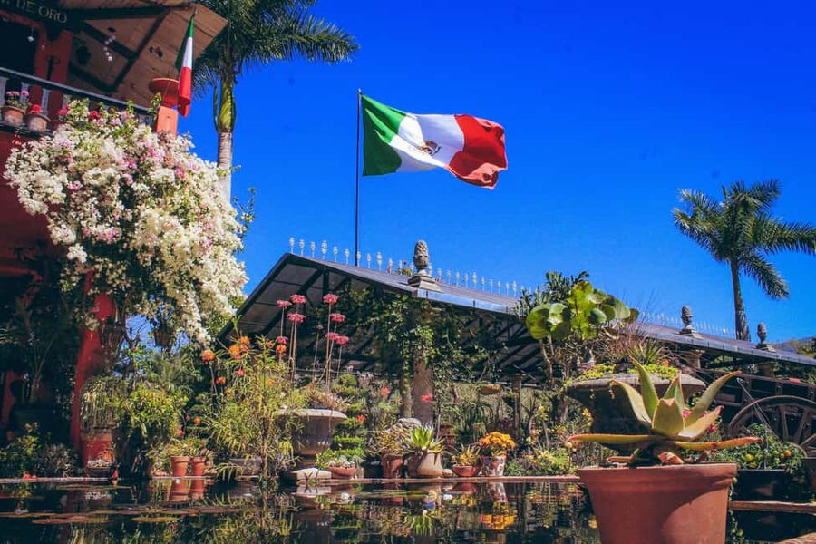 Puerto Vallarta: Botanical Gardens, Distillery & Coffee Tour - Should you book it?