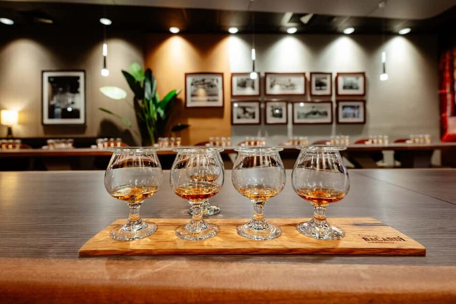 San Juan: Casa Bacardi Distillery Tour - Getting to Casa Bacardi from Old San Juan