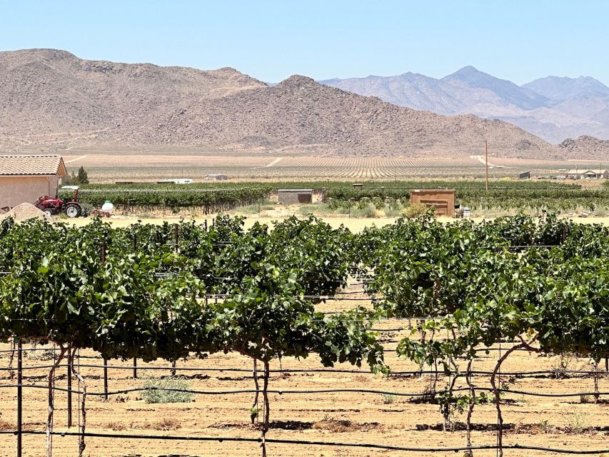 Scenic Desert Wine, Distillery Tastings/Brewery/RT66 & Lunch - A full day from Las Vegas to Kingman