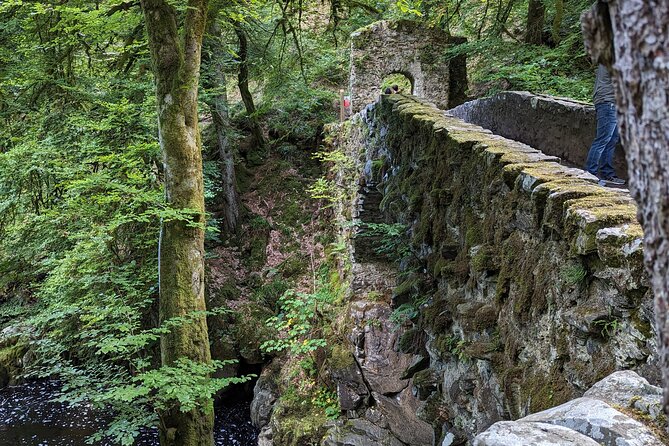 Scone Palace, Nature, Pitlochry, Whisky Experience from Edinburgh - A short walk to Black Linn Falls at the Hermitage