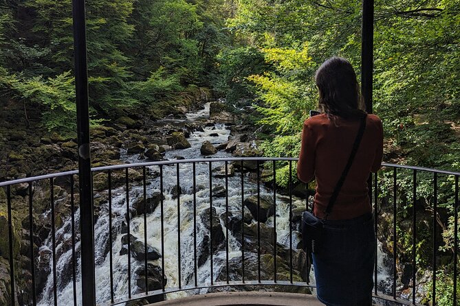 Scone Palace, Nature, Pitlochry, Whisky Experience from Glasgow - Who should book this private day out?