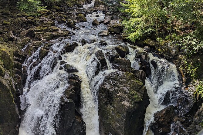 Scone Palace, Nature, Pitlochry, Whisky Experience from Glasgow - A quick hour in Victorian Pitlochry