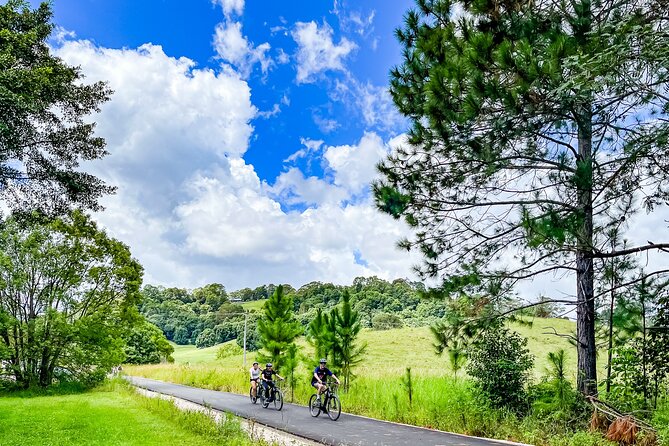 Self Guide E Bike Tour - Husk Distillery, Rainforest & Rail Trail - Bridges, art and Murwillumbah
