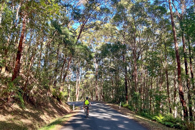 Self Guide E Bike Tour - Husk Distillery, Rainforest & Rail Trail - The rainforest climb shows why the e-bike matters