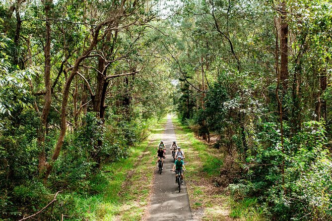 Self Guide E Bike Tour - Husk Distillery, Rainforest & Rail Trail - Who should book this ride?