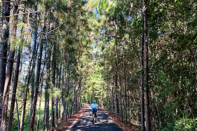 Self Guide E Bike Tour - Husk Distillery, Rainforest & Rail Trail - Should you book the Husk e-bike tour?