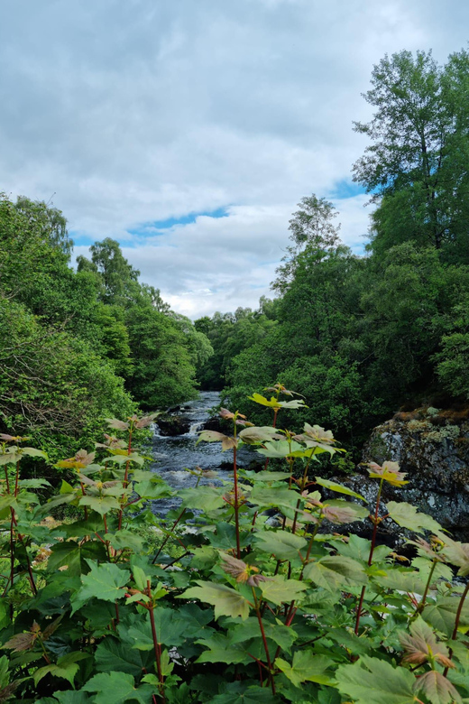 Shore excursion from Invergordon - Castles, Scenery & Whisky - Who will enjoy this private Highlands route